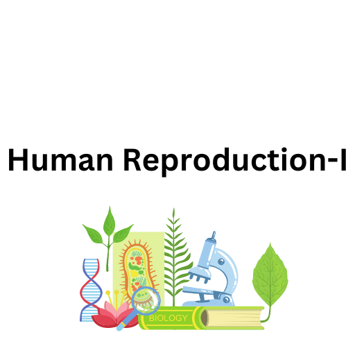 Human Reproduction-I